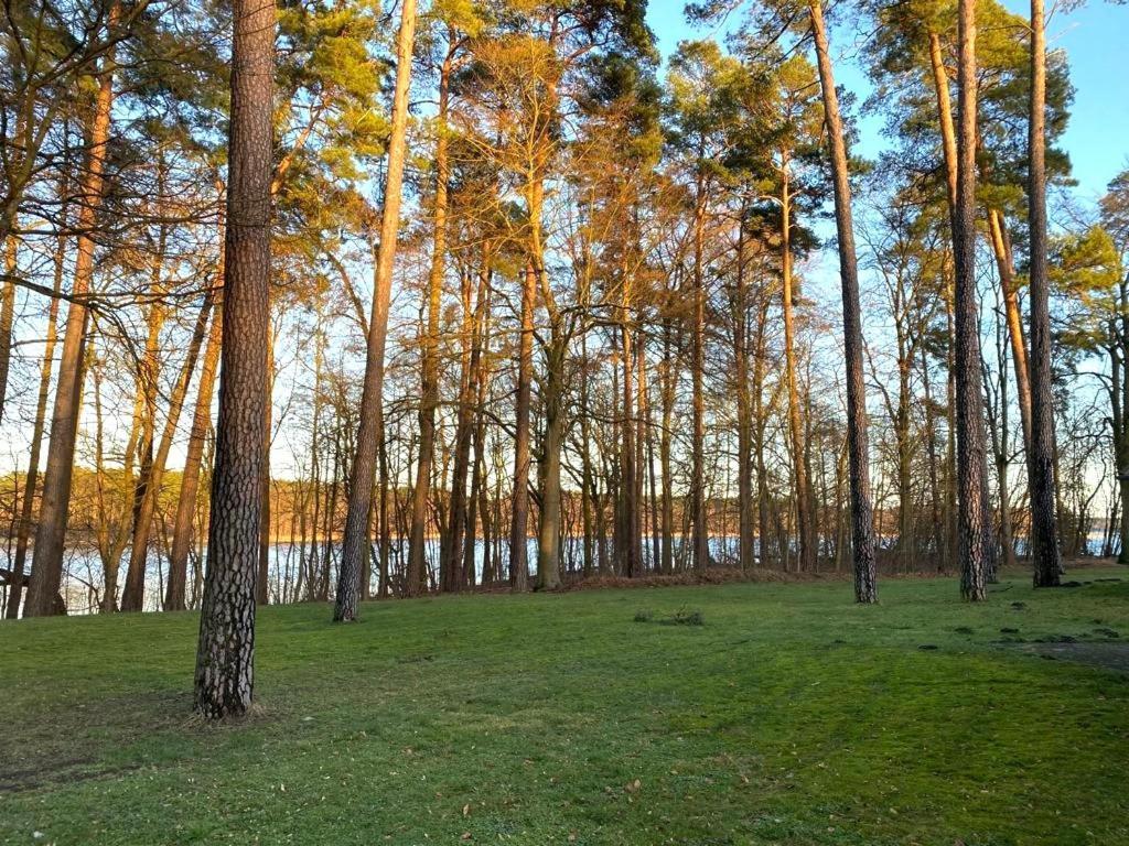 Ferienhaus Direkt Am See Uckermark تيمبلين المظهر الخارجي الصورة